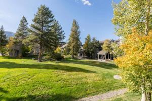 a large yard with trees and houses at Snowcreek 569 in Mammoth Lakes