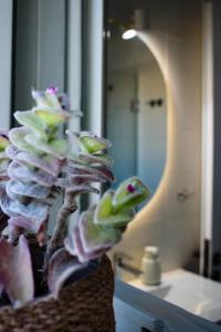 a vase with a plant on a counter in a bathroom at Almyra in Finikas +43 photos