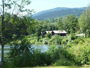 a house sitting on the side of a river at Haus 44 Feldblick in Arrach +26 photos