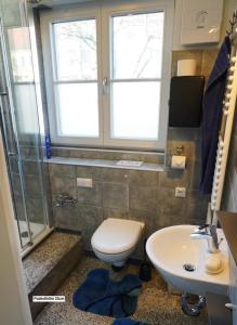 a bathroom with a toilet and a sink at Pension Pichelsdorf in Berlin +16 photos