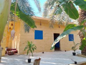a building with blue shuttered windows and palm trees at Soliman House Siwa in Siwa