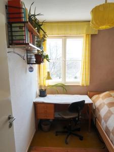 a bedroom with a desk and a bed and a window at Pension Pichelsdorf in Berlin