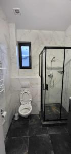 a bathroom with a toilet and a shower with a window at Barnhous in Mykulychyn +12 photos