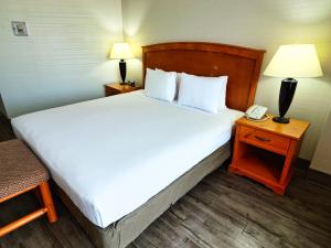 a bed in a hotel room with a phone on a table at Continental Inn & Suites in Edmonton