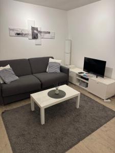 a living room with a couch and a coffee table at Appartement proche Mer avec appartement au 1er etage et appartement 1 au 2eme etage avec baignoire in Berck-sur-Mer