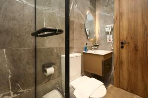 a bathroom with a shower and a toilet and a sink at Pyramids Height Luxury Wing in Cairo +32 photos