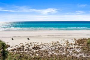 a beach with two birds on the sand and the ocean at Seahaven Beach Hotel Panama City Beach in Panama City Beach