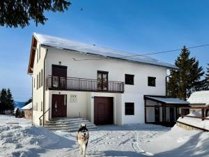 a dog standing in the snow in front of a house at Visoravan 1200 in Kupres