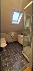 a bathroom with a shower and a toilet and a sink at Central Stay Odda in Odda +23 photos