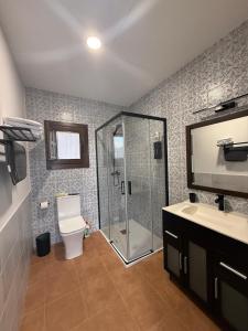 a bathroom with a shower and a toilet and a sink at La Casa de la botica -Casa Rural El Romeral de Toledo in Romeral