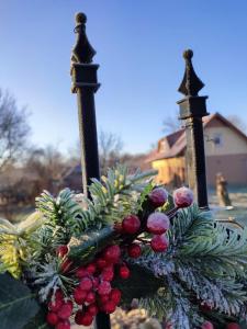 a bunch of christmas decorations on a street light at Tündérkert Tündérfészek Vendégház in Sződliget