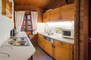 a kitchen with a stove and a microwave in a cabin at Bergblick Willingen in Neerdar