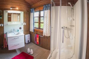 a bathroom with a shower and a sink at Bergcottage in Neerdar +30 photos