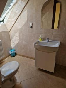 a bathroom with a sink and a toilet at Schronisko Sokoliki in Mysłakowice +52 photos