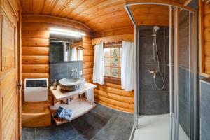 a bathroom with a shower and a sink at Chalet Papillon in Neerdar +22 photos