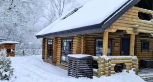 a log cabin in the snow at NPLIHOUSE in Otepää