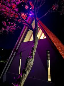 a tree in front of a building with purple lights at Kamalú Glamping in Medellín +4 photos