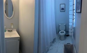 a bathroom with a toilet and a sink and a mirror at Trisuites 2 in New Orleans