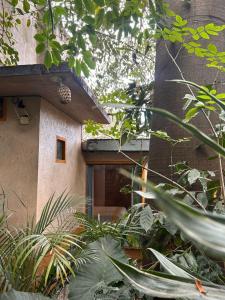 a building with a door and some plants at El Bungalow de Juana in Tepoztlán +3 photos