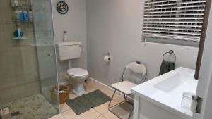a bathroom with a shower and a toilet and a sink at Hillcrest Cottage in Constantia