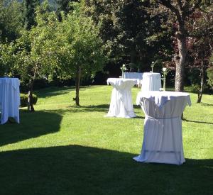 Um jardim no exterior de Scheffer's Hotel