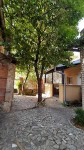 a tree in the middle of a stone courtyard at Apartman TATTOO R LUX in Negotin