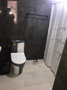 a bathroom with a toilet and a shower at Cabaña los amarillos in Huacalera +8 photos