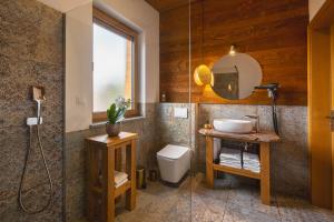 a bathroom with a sink and a toilet and a mirror at APARTAMENTY U HARREGO BOUTIQUE SPA masaże, sauna, tężnia solankowa , balkon , taras , klimatyzacja , parking in Kudowa-Zdrój +245 photos