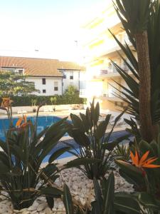 
The swimming pool at or near Marina Vilamoura Apartment
