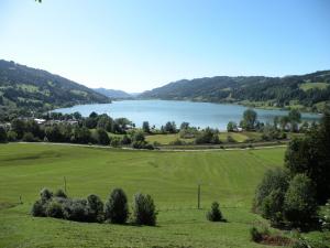 a large green field with a lake in the background at Goldiger Hirsch Pension mit Gemeinschaftsküche in Immenstadt im Allgäu