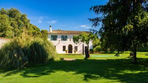 a large white house with a tree in the yard at La Escribana in Constantina
