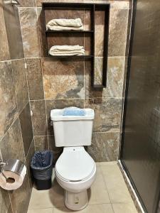 a bathroom with a toilet and a shower and towels at Casa Tierra Mia in Tequila