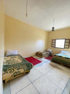 a bedroom with two beds and rugs on the floor at Sahara desert Maison in Merzouga