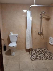 a bathroom with a toilet and a shower at John's Farmhouse in Kilrush +7 photos
