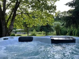 a hot tub in a garden with water at Apartment direkt an der Waldnaab in Neustadt an der Waldnaab