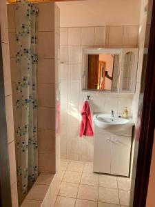 a bathroom with a sink and a shower at Rybářská bašta-Vikletice in Kwon