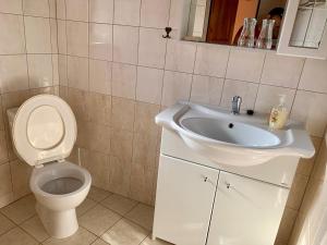 a bathroom with a toilet and a sink at Rybářská bašta-Vikletice in Kwon