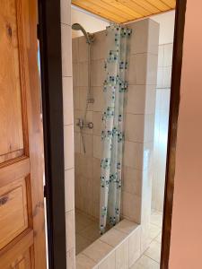 a shower with a glass door in a bathroom at Rybářská bašta-Vikletice in Kwon