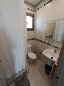 a bathroom with a white toilet and a sink at L'Ambre in Hammamet +21 photos