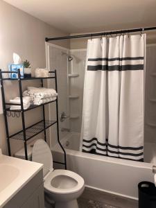 a bathroom with a toilet and a shower curtain at Skipper Apt #4 in Rockingham