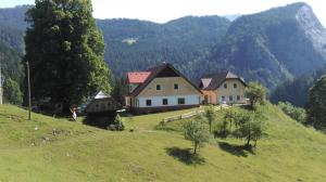 un grupo de casas en una colina con montañas en el fondo en Tourist farm Gradišnik en Solčava