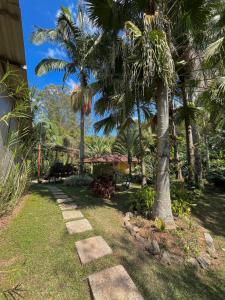 a garden with palm trees and a pathway at um pedaço do paraíso in São Roque