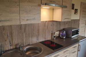 Kuchyňa alebo kuchynka v ubytovaní Apartament Aldi