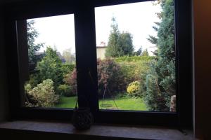 Vonkajšia záhrada v ubytovaní Apartament Aldi