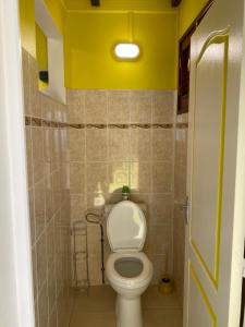 a bathroom with a toilet and a yellow wall at Le Papillon Bleu in Bouillante +8 photos