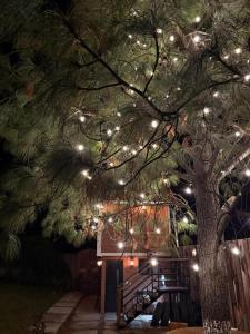 a christmas tree with christmas lights on it at Cabaña El real in Cedro