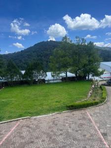 a grassy area with a mountain in the background at Cabaña El real in Cedro
