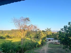 a house in a field with a dirt road at RSP Hostel รักษ์สุพรโฮสเทล in Ban Hua Thung +5 photos