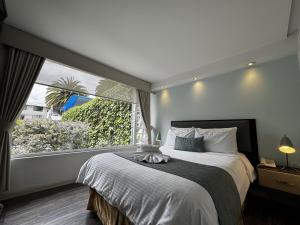 ein Schlafzimmer mit einem Bett und einem großen Fenster in der Unterkunft Hotel Shalom in Riobamba