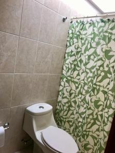 a bathroom with a toilet and a shower curtain at Oasis Tequisquiapan in Tequisquiapan +23 photos